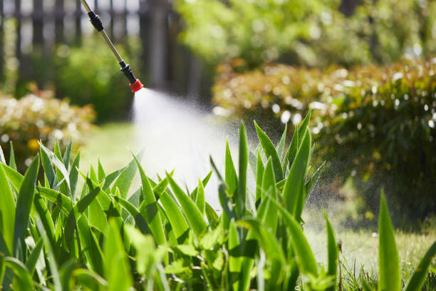 24/7 Emergency Mosquito Control experts in Baxter Estates, NY